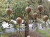 Hanging ball ornaments