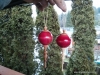 Red ball ornaments