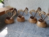 Completed music trophies