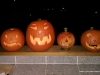 the-whole-jack-olantern-gang